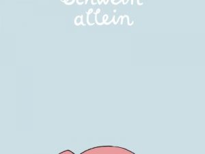 Jörg Hilbert, Schwein allein